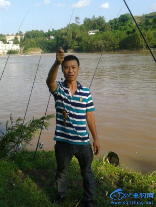 140359dttnwpbzxoii8dnb.jpg