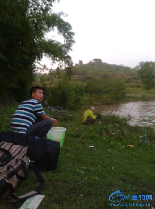 140617bi1iteef22eoidss.jpg