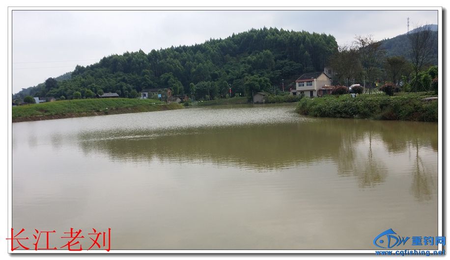 20140924_111107.jpg
