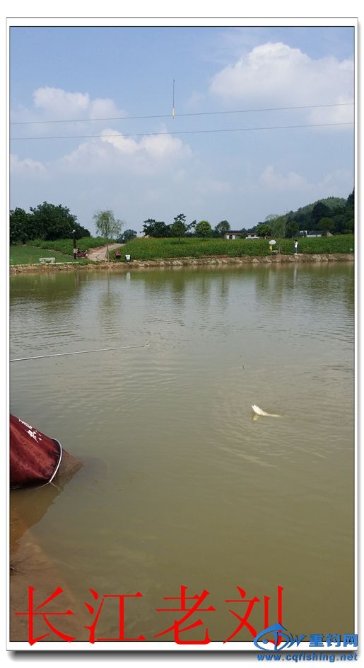 20140924_144353.jpg
