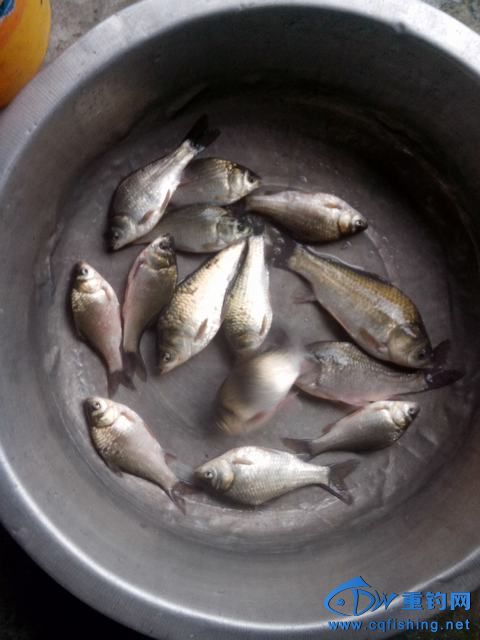 Ƭ_20140424_174705.jpg