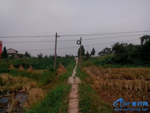 Ƭ_20140910_095235.jpg