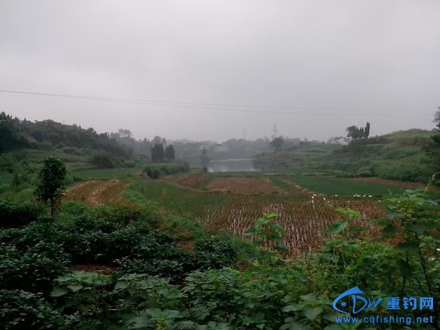 Ƭ_20140910_095419.jpg