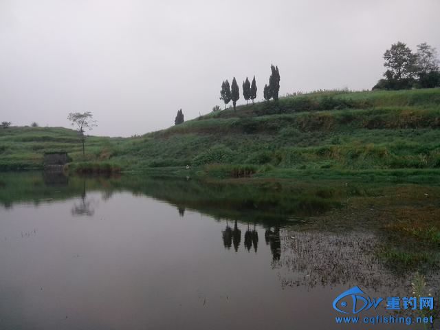 Ƭ_20140910_095707.jpg