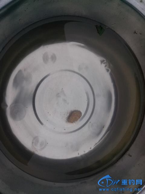Ƭ_20140910_103644.jpg