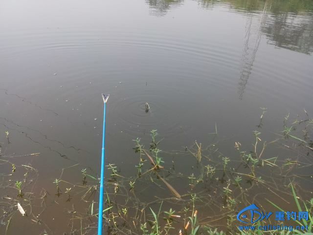 Ƭ_20140910_114914.jpg