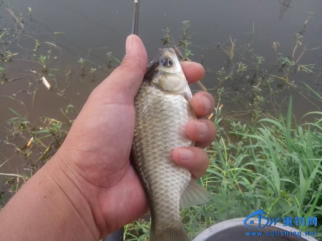 Ƭ_20140910_114931.jpg