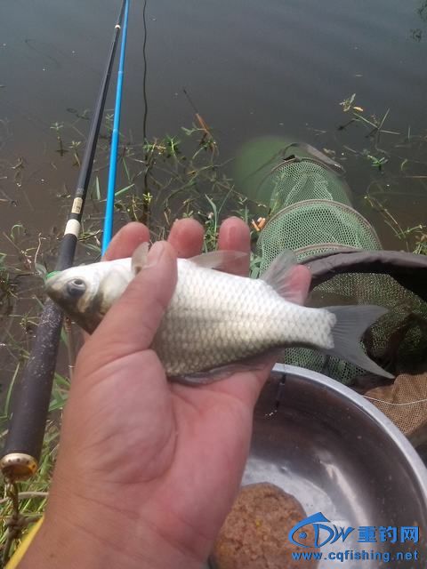 Ƭ_20140910_120617.jpg