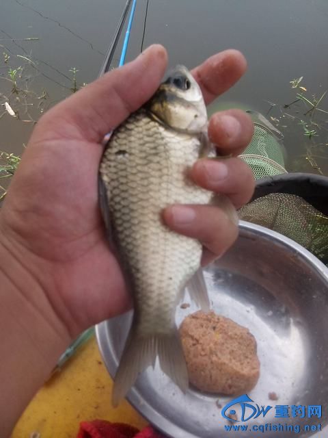 Ƭ_20140910_120950.jpg