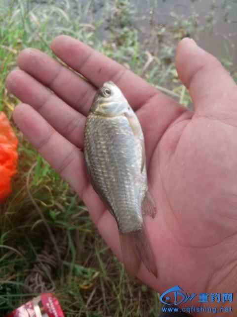 Ƭ_20140910_122627.jpg