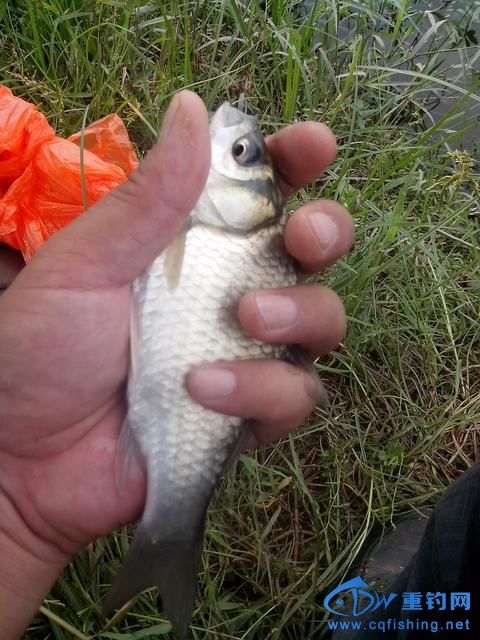 Ƭ_20140910_124656.jpg
