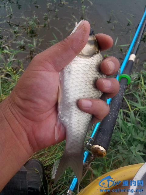 Ƭ_20140910_131956.jpg