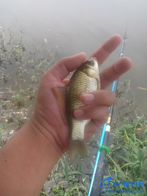 Ƭ_20140910_141214.jpg