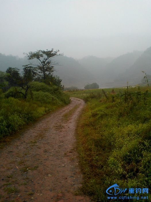 213203esfulhga1epvofh8.jpg