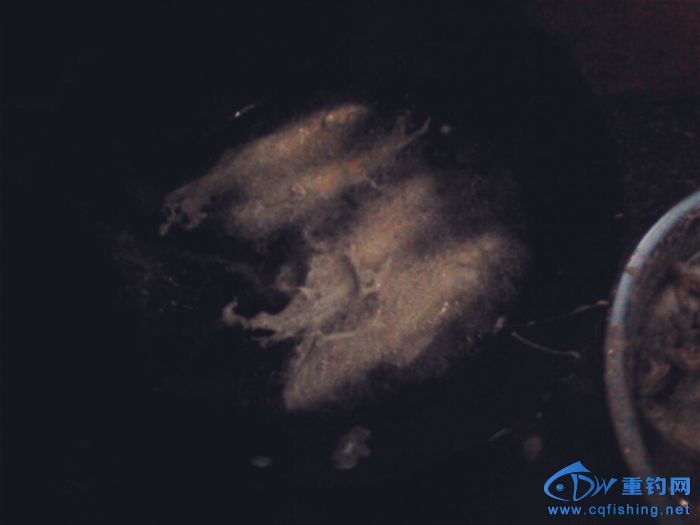 213809d73p121g3ivz1wpp.jpg