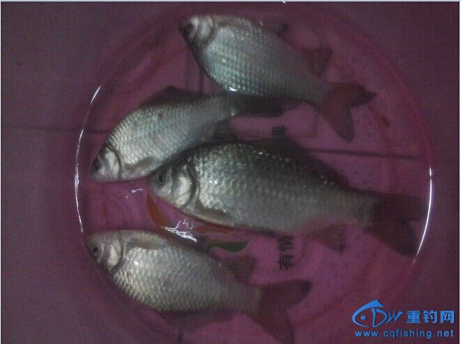 QQͼƬ20140929105954.jpg