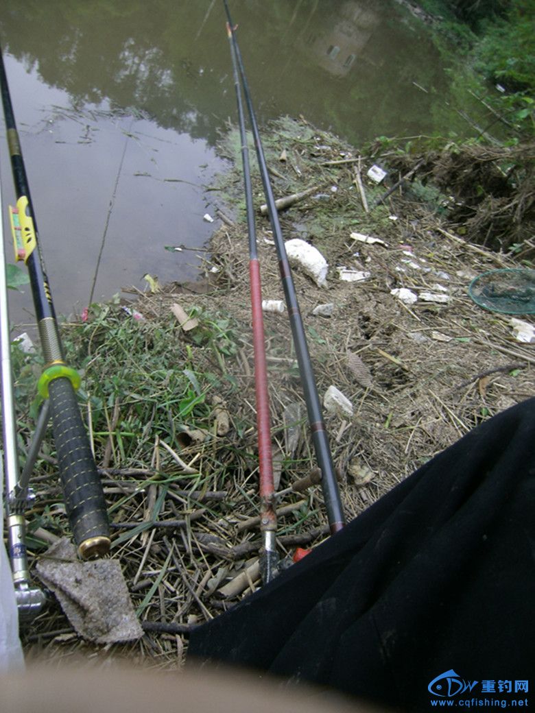 GEDC0014_.jpg