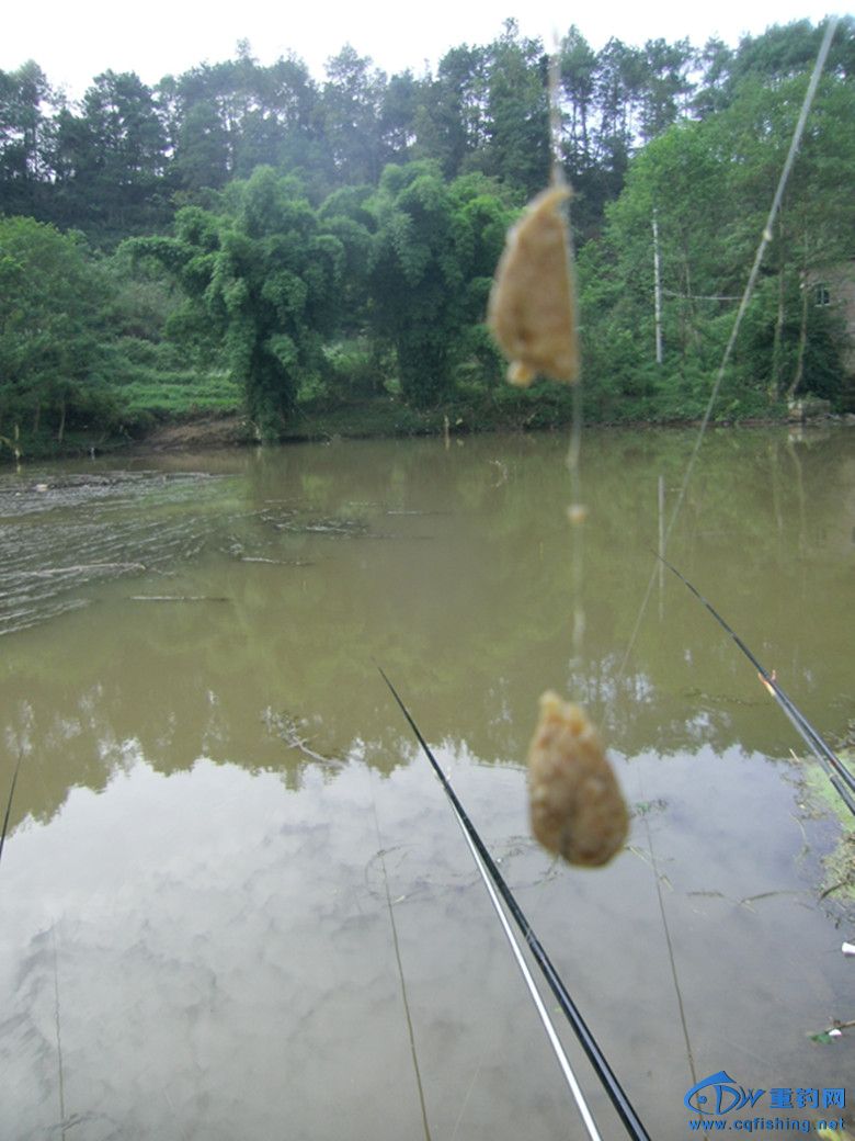 GEDC0018_.jpg