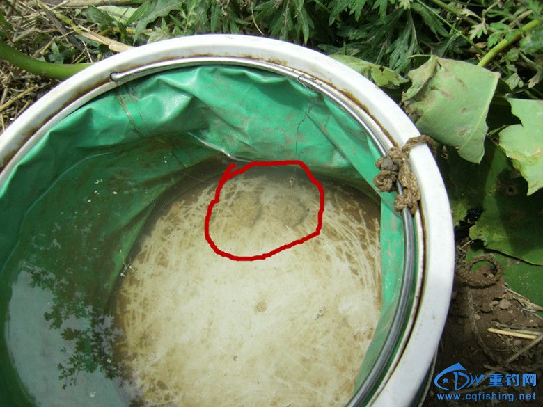 GEDC0021_.jpg