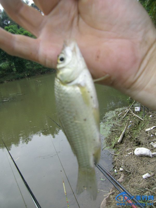 GEDC0026_.jpg