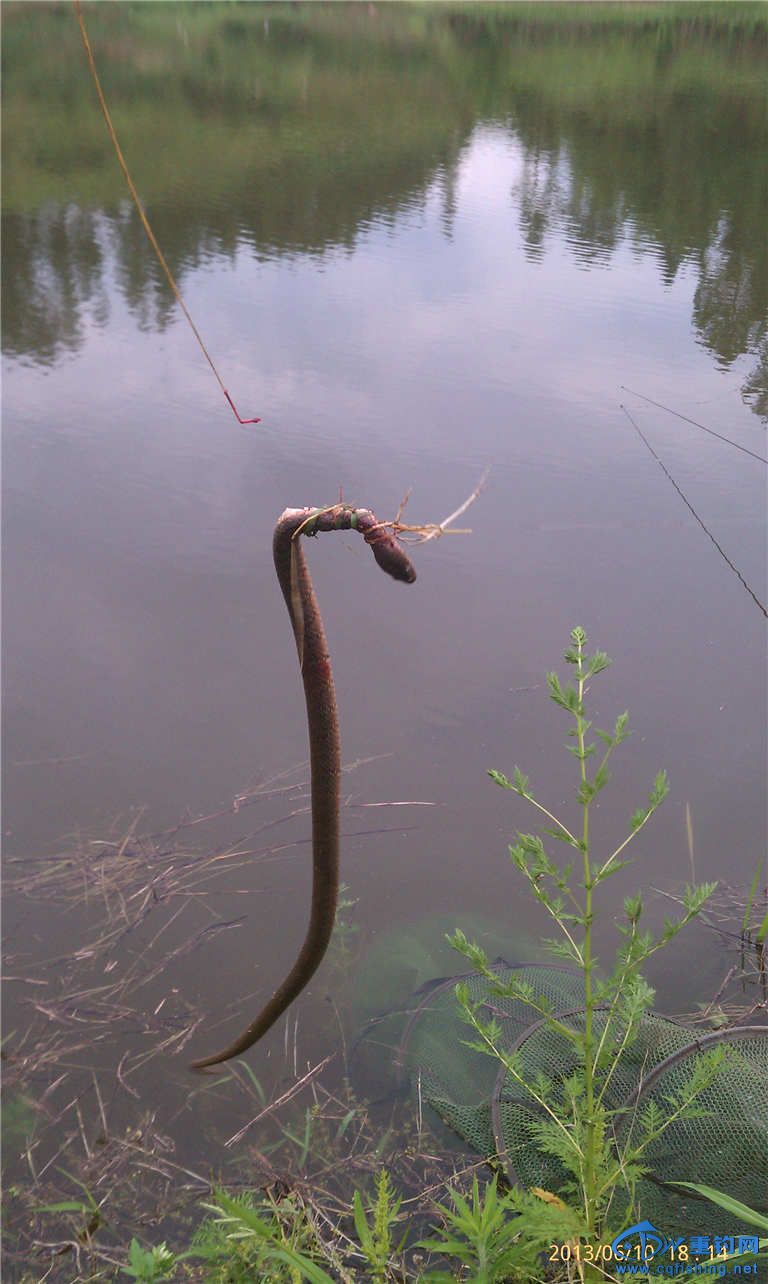 ϴ