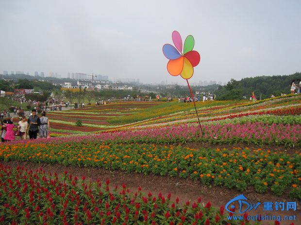 Ƭ 1154_С.jpg