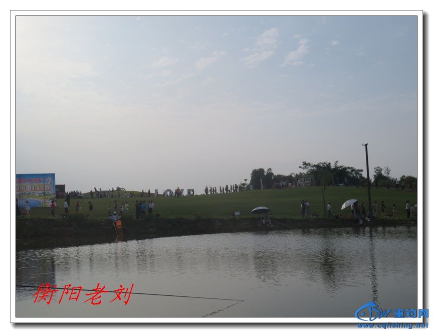 IMG_1130.jpg