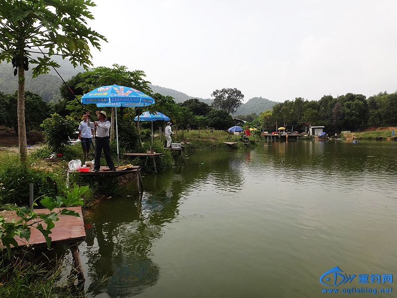 nEO_IMG_DSC01424.jpg