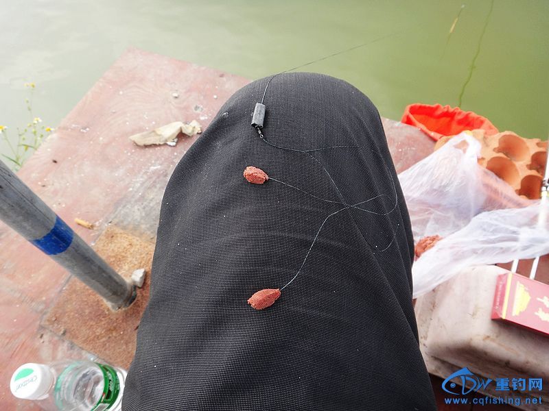 nEO_IMG_DSC01425.jpg