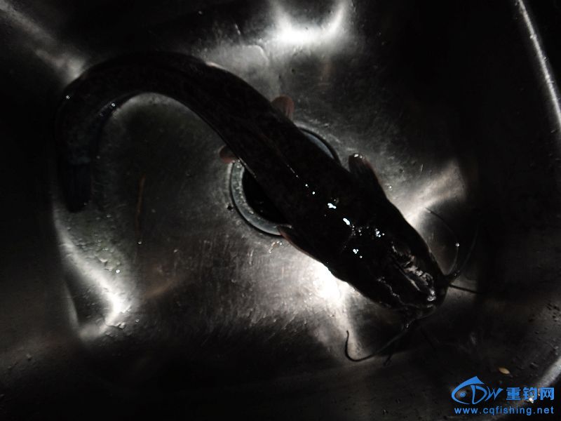 nEO_IMG_DSC01440.jpg