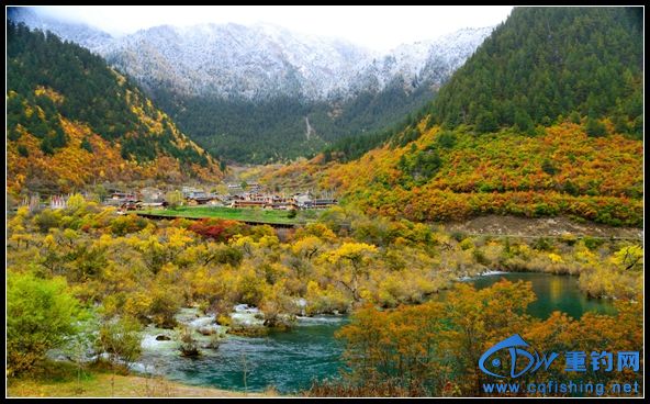 jiuzai  (2).jpg