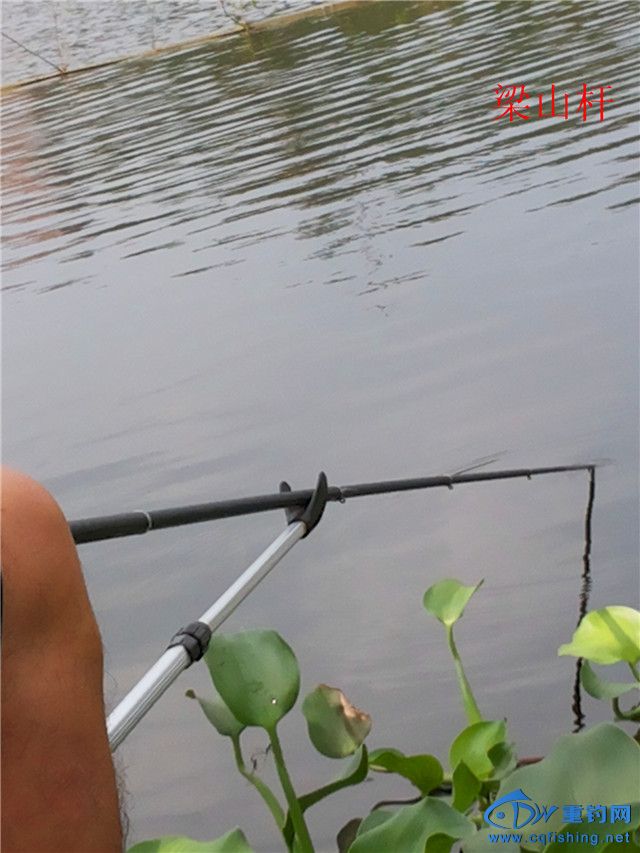 20141005_122813.jpg