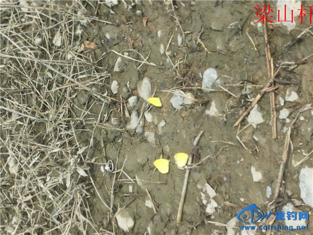 20141002_105955.jpg
