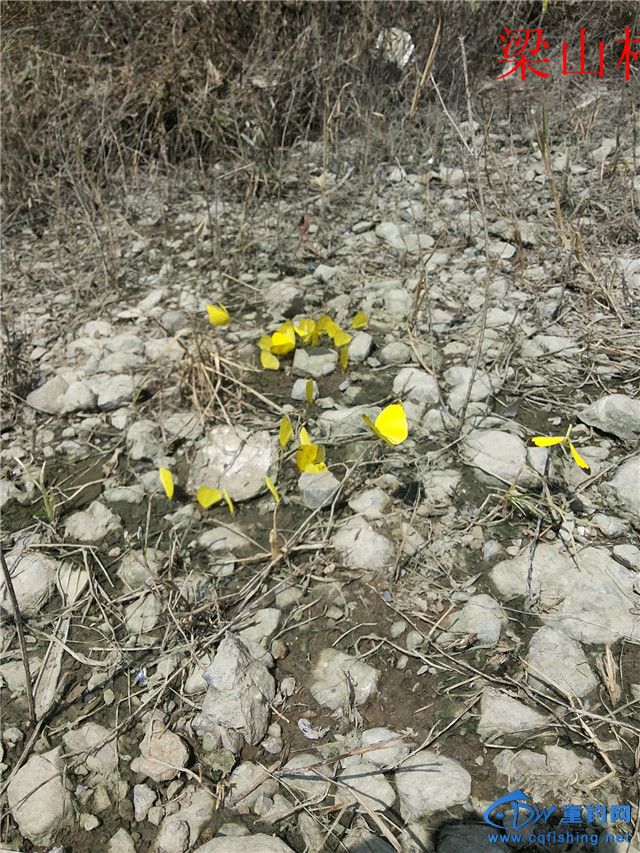 20141002_124457.jpg