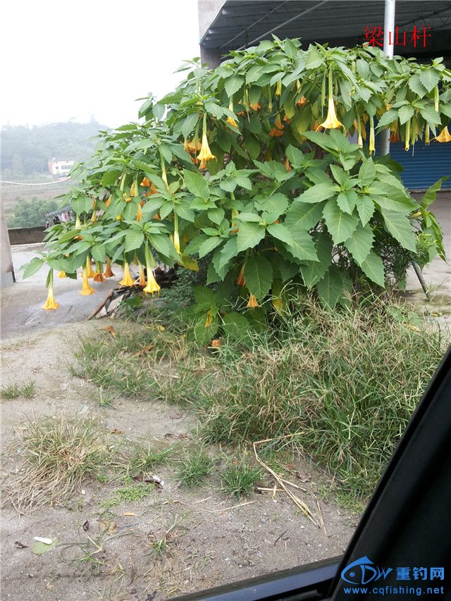 20140920_095408.jpg