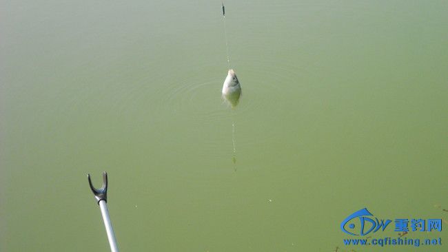 08.jpg