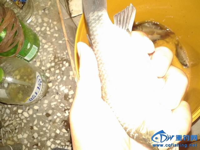 С 20141012_142635.jpg