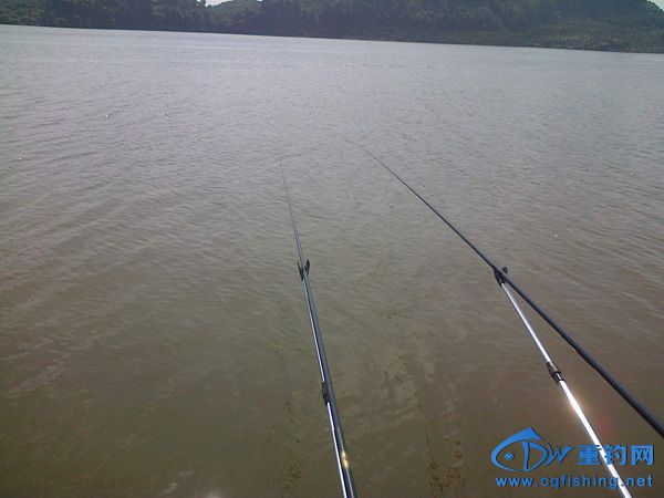 IMG-20141003-00674.jpg