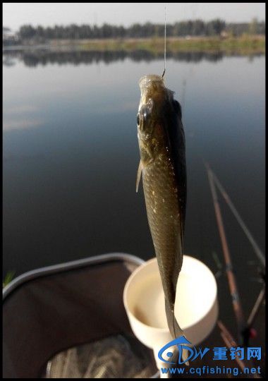 conew_qqͼƬ20141017202552.jpg