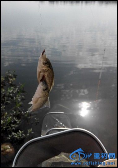 conew_qqͼƬ20141017204633.jpg