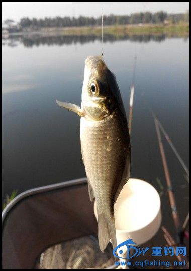 conew_qqͼƬ20141017204725.jpg