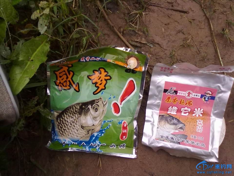 С 20141018592.jpg