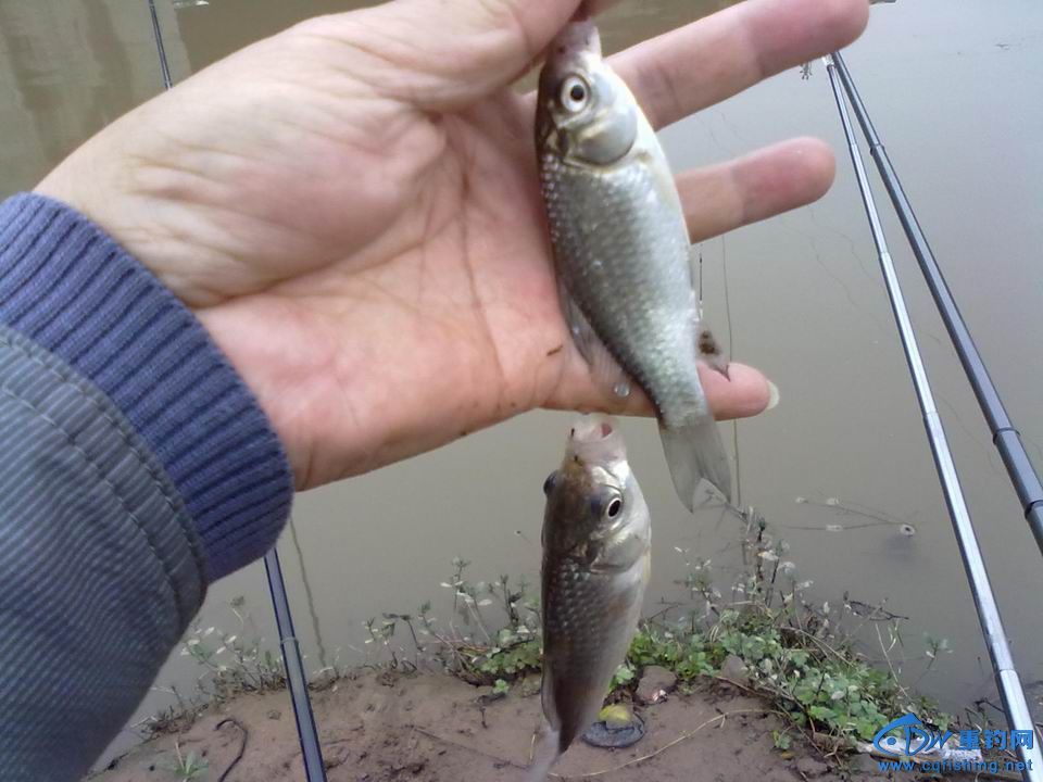 С 20141018599.jpg
