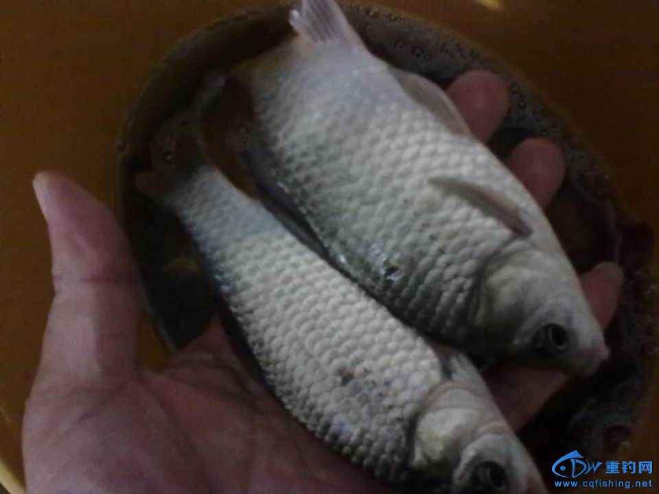 С 20141018604.jpg