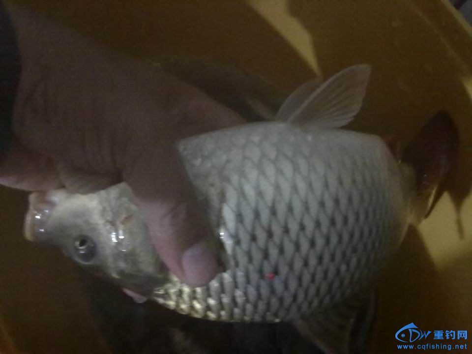 С 20141018605.jpg