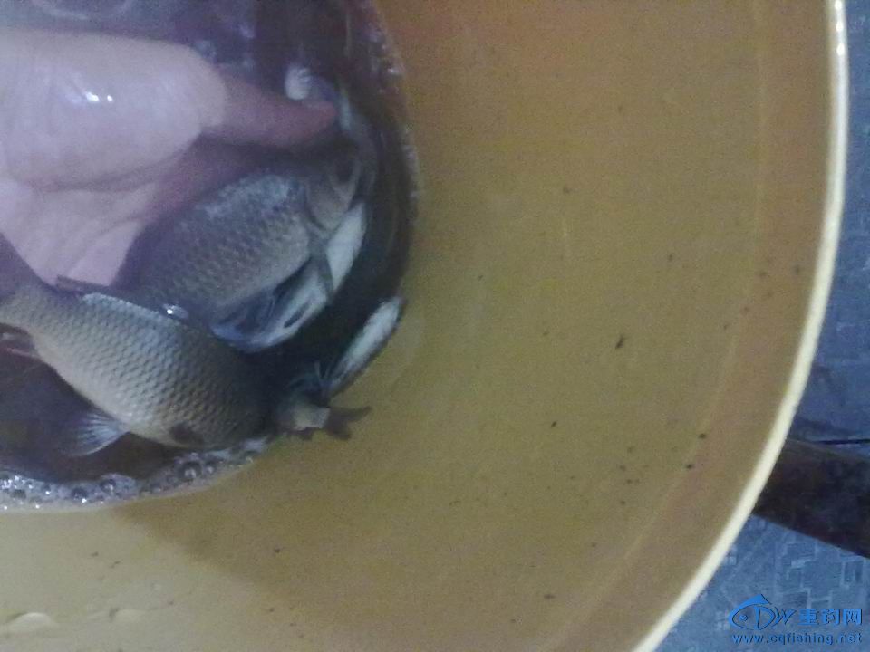 С 20141018606.jpg