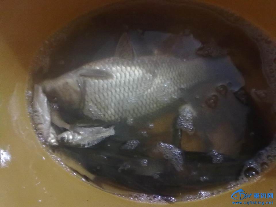 С 20141018607.jpg