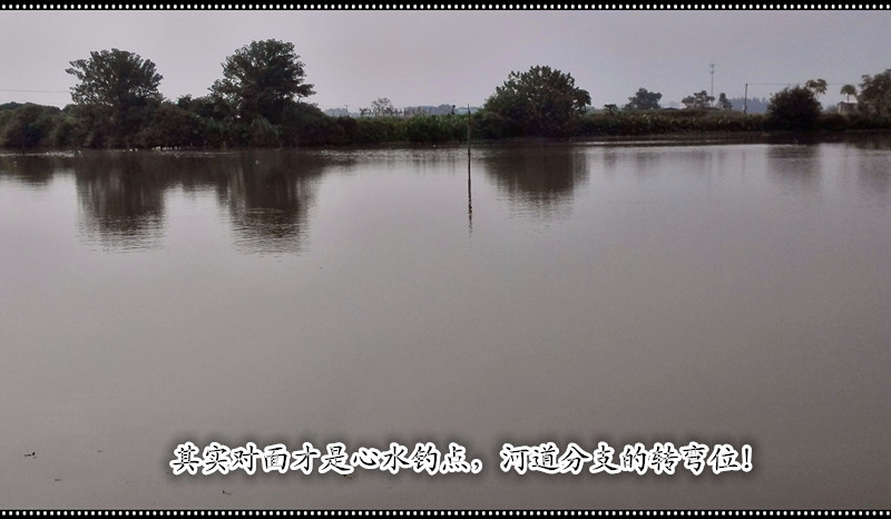 20141022_123318_003.jpg
