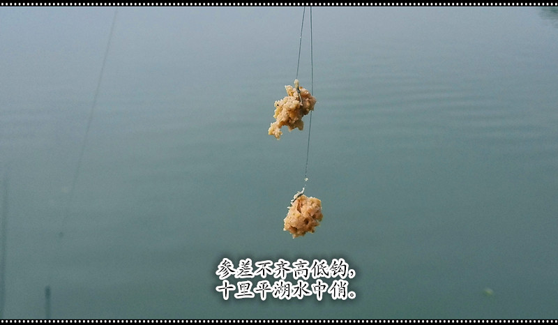 20141022_123318_009.jpg