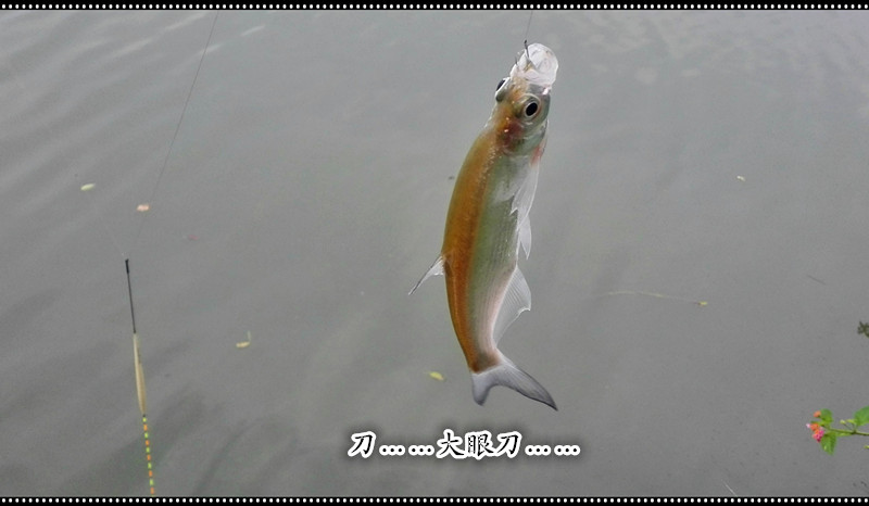 20141022_123318_010.jpg